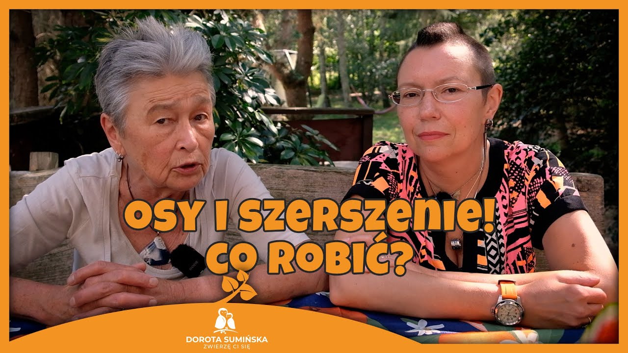 PORADNIK #18: Osy i szerszenie! Co robić?
