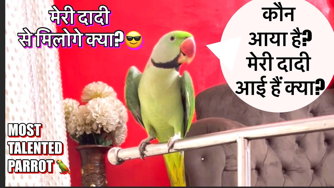 मम्मी