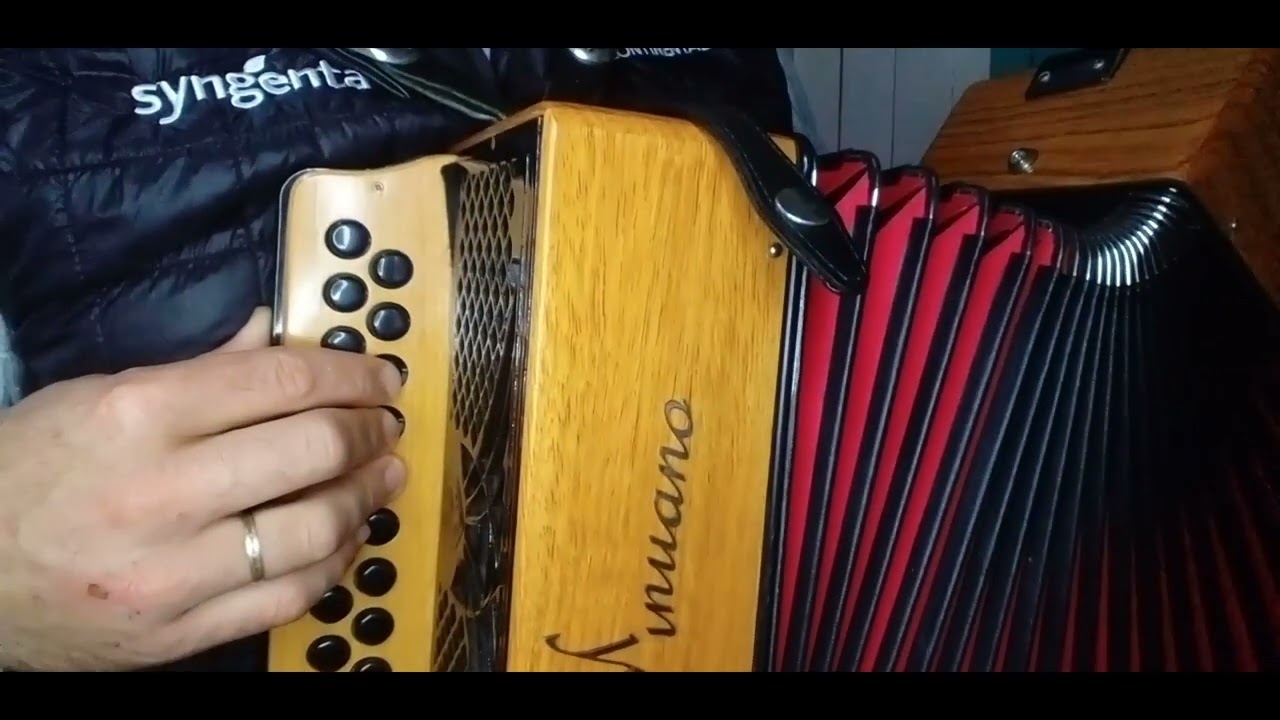 video aula musica  Cadela Baia Mano lima #gaitaponto