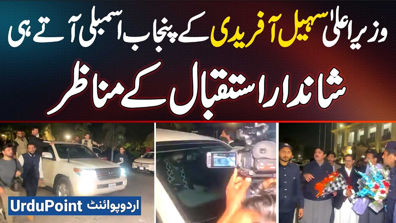 CM Sohail Afridi Receives A Hero&rsquo;s Welcome - Exclusive Scenes From Punjab Assembly Arrival!