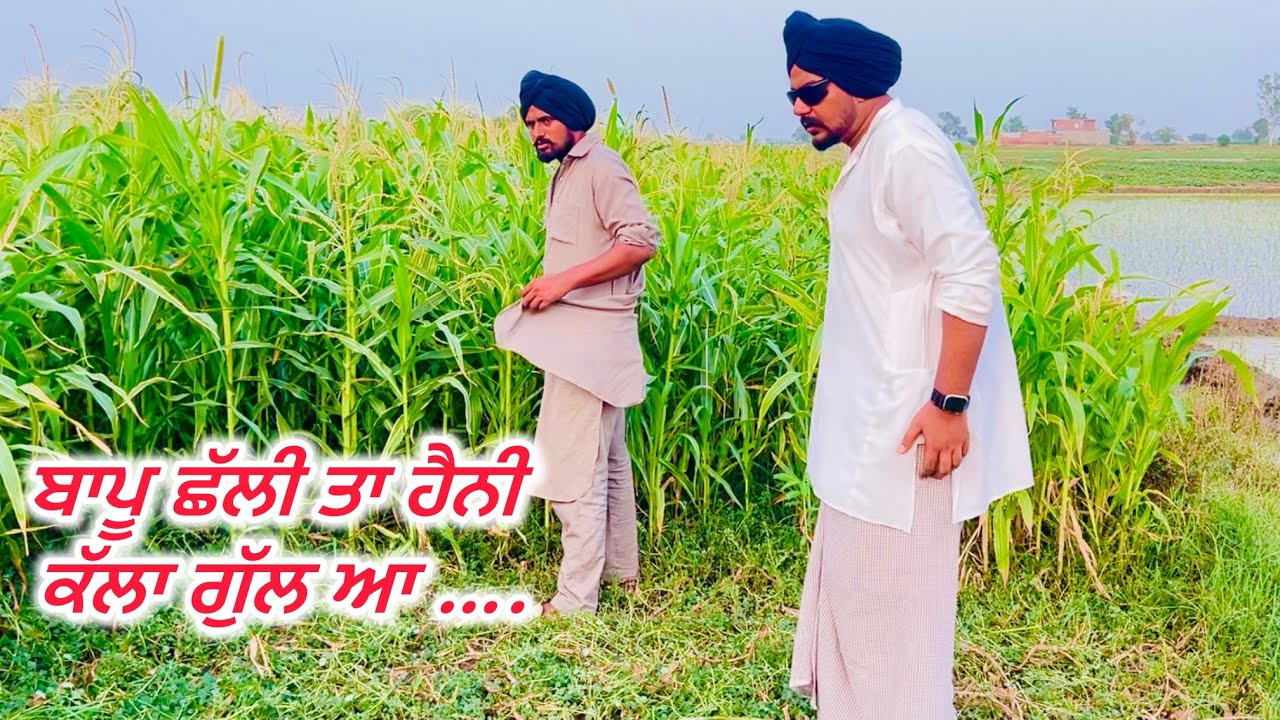 ਛੱਲੀ ਤਾ ਹੈਨੀ ਬਾਪੂ ਕੱਲਾ ਗੁੱਲ ਆ,ਵੱਢੇ ਚ ਦਾਤੀ ਤਾ ਹੈਨੀ ਹੋਰ ਕੀ …? //new video jatt babe bandra to