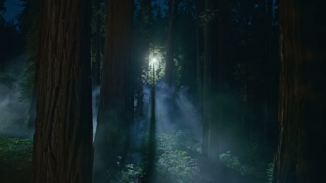 macOS Sequoia wallpaper/screensaver collection: the night of Sequoia