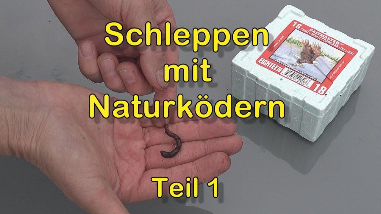 Schleppen mit Naturködern (Teil 1) Unterwasseraufnahmen