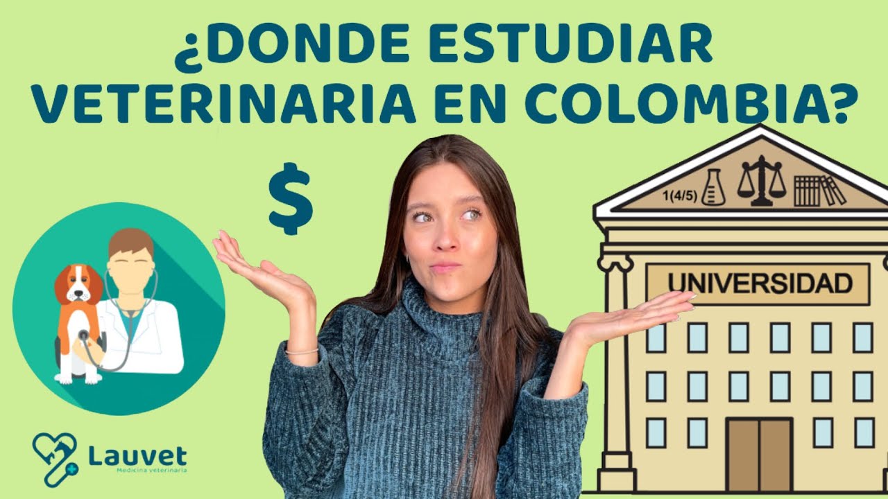 DONDE ESTUDIAR VETERINARIA EN COLOMBIA I Universidades y Precios - Lauvet