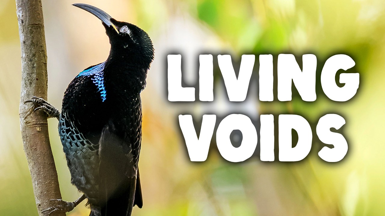 These Beasts Are Living Black Holes