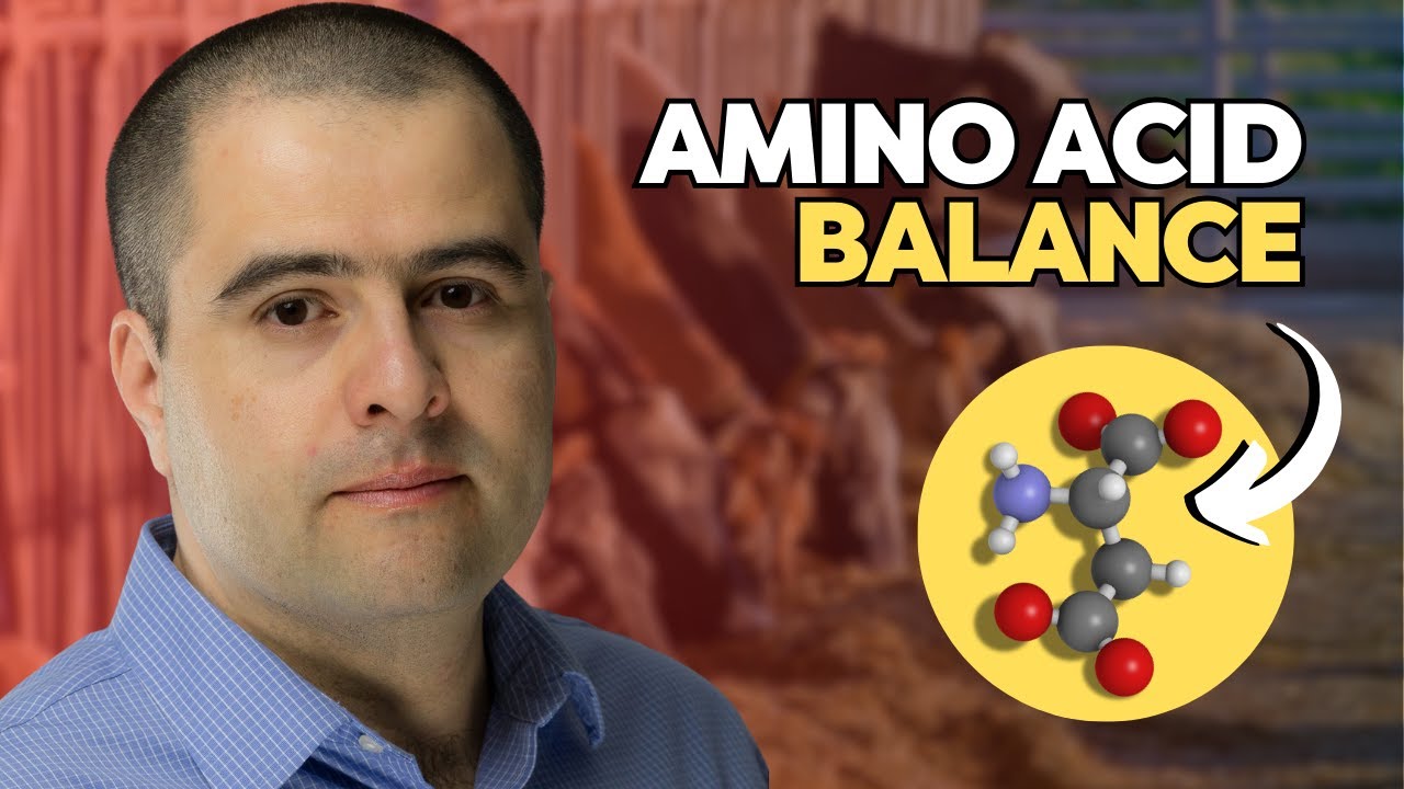 Dr. Sebastian Apelo: Nitrogen Efficiency in Cattle