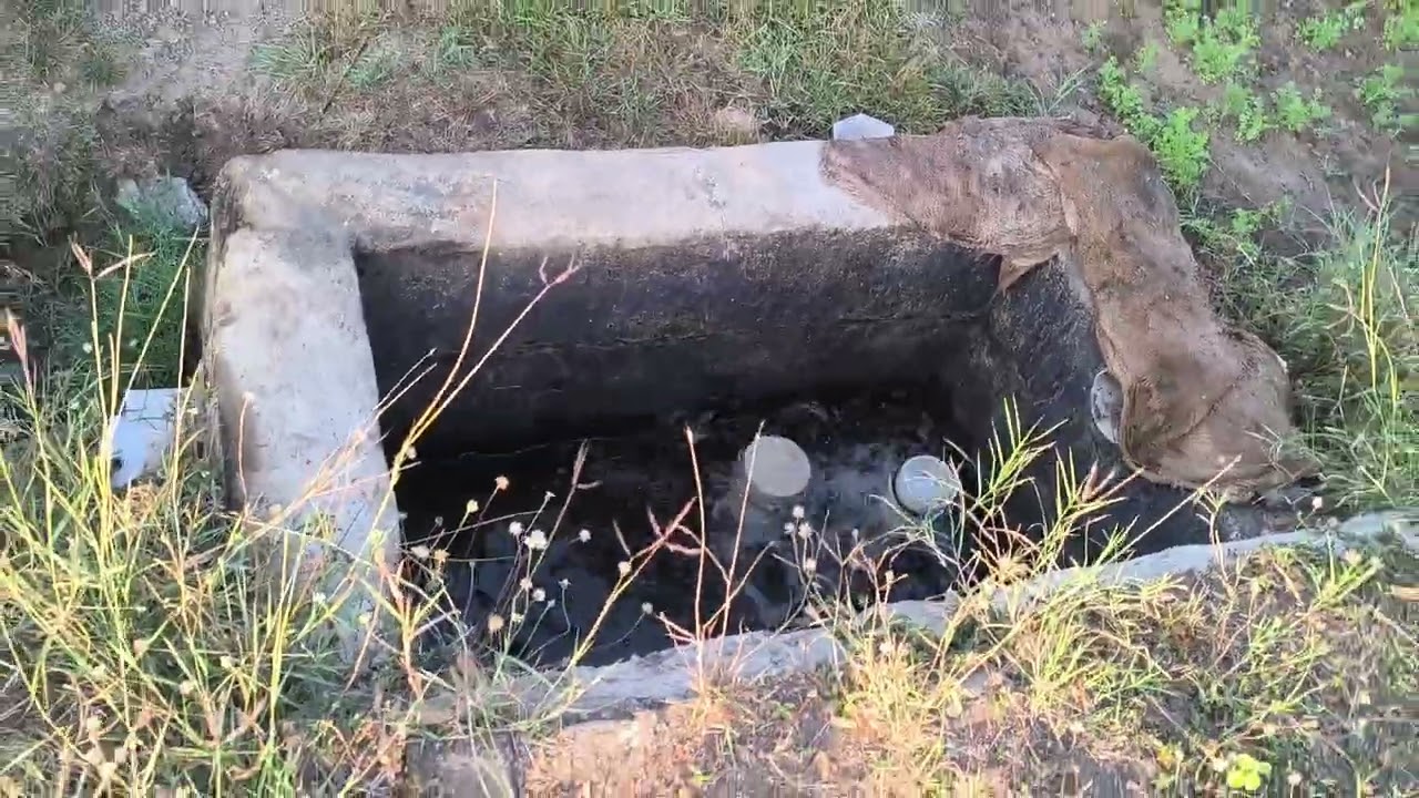 ખેડૂત પુત્ર   સવાર નો નજરો વાડીનો 