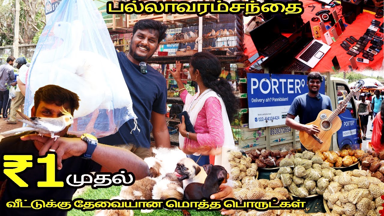 🔴பாதி விலையில் வீட்டுக்கு தேவையான பொருட்கள் | பழைய சந்தை | Low Price Grocery and furniture-VlovetoR