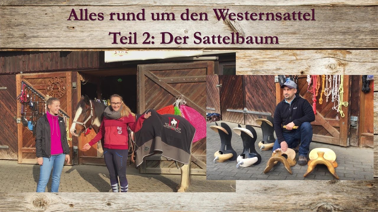 Alles rund um den Westernsattel - Teil 2: Der Sattelbaum