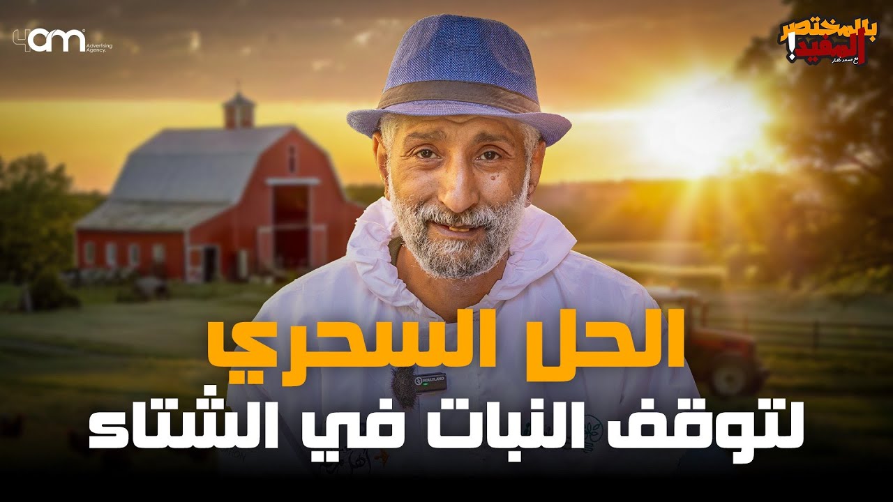 مفعول السحر عند توقف النباتات عن النمو ( الجبريلك أسيد ) أهميته ووقت استخدامه