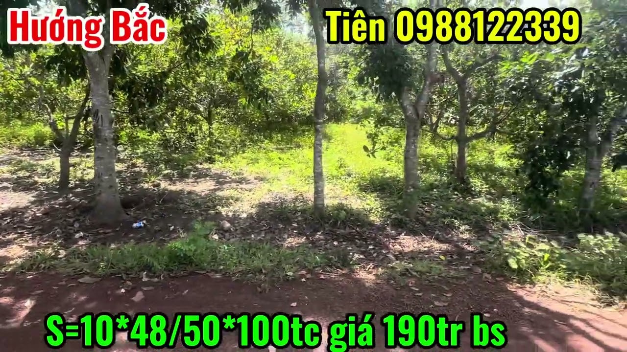 Đất nền giá rẻ có thổ cư chỉ 190tr alo em 0988122339