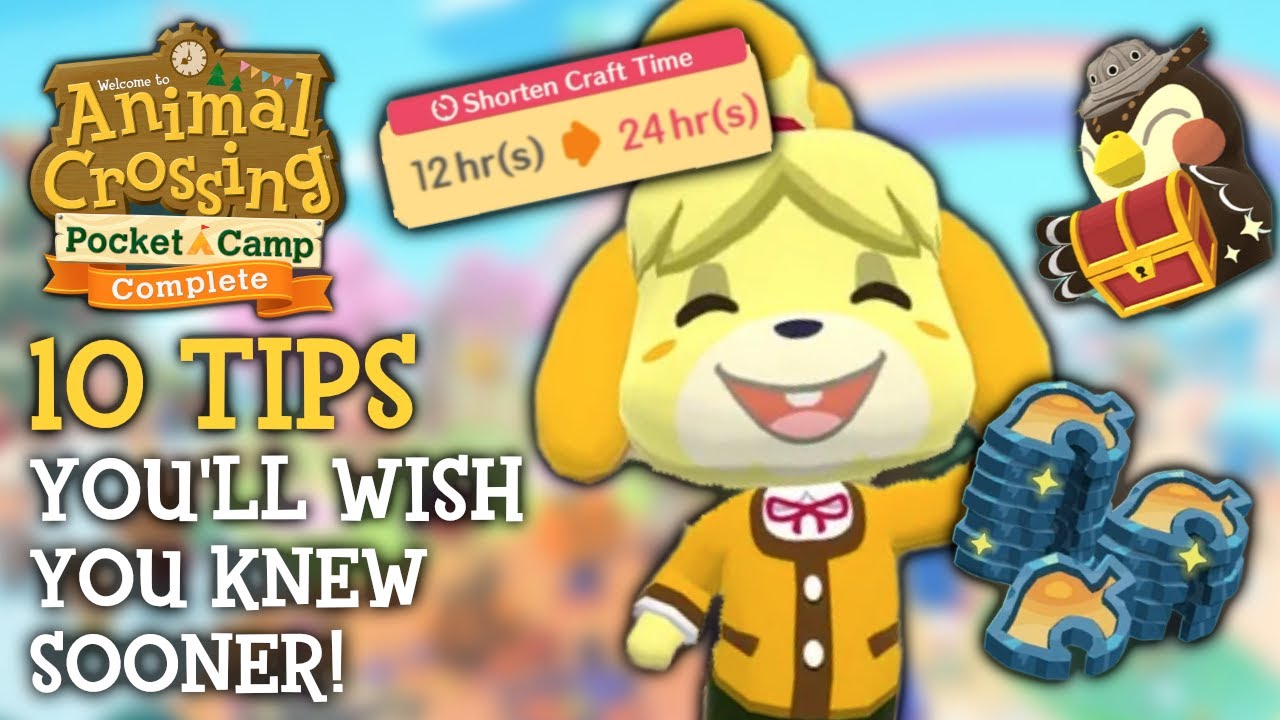 10 вещей, которые я хотел бы знать раньше в Pocket Camp Complete