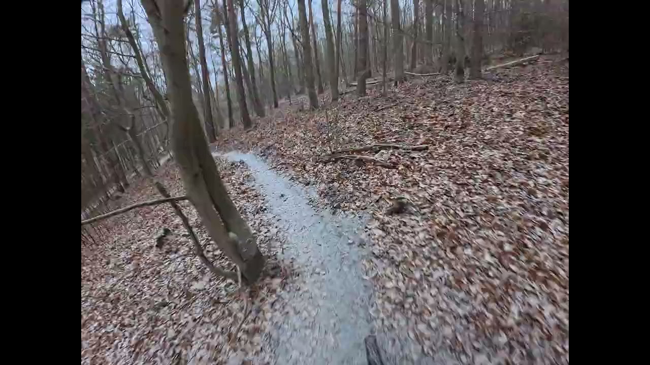 Trailview: Schiessbahntrail Koblenz 