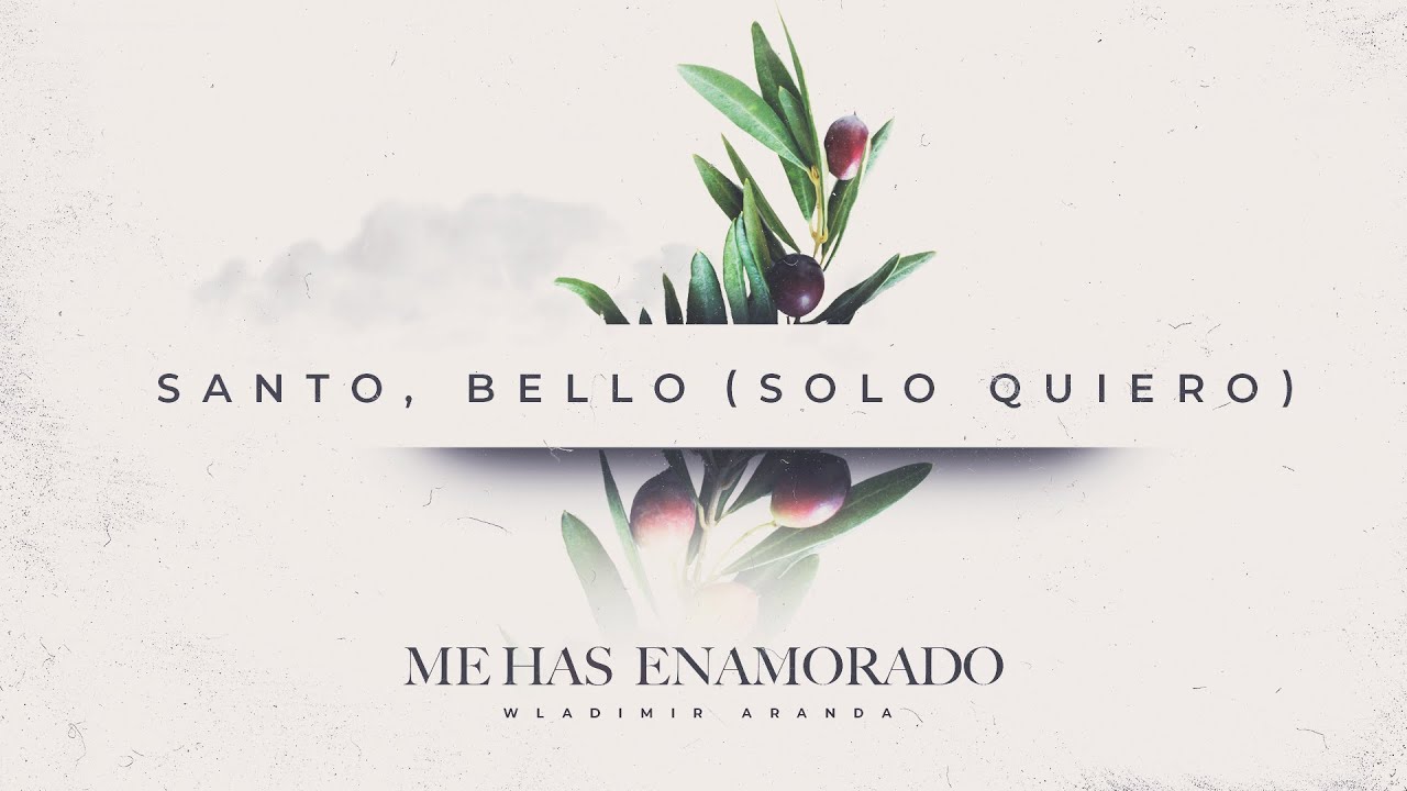SANTO, BELLO (SOLO QUIERO) // Me Has Enamorado (Lyric Video) - Wladimir Aranda