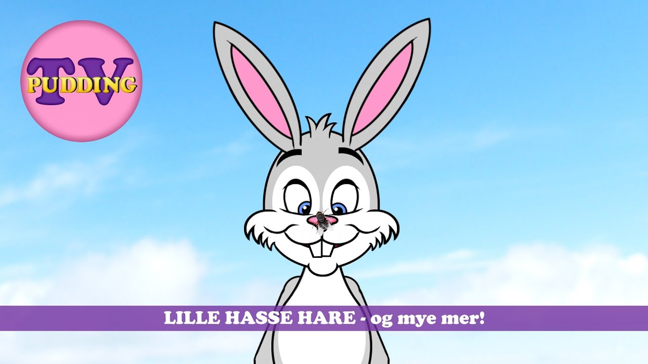 Lille Hasse hare - og mye mer! | Norske barnesanger - 40 min