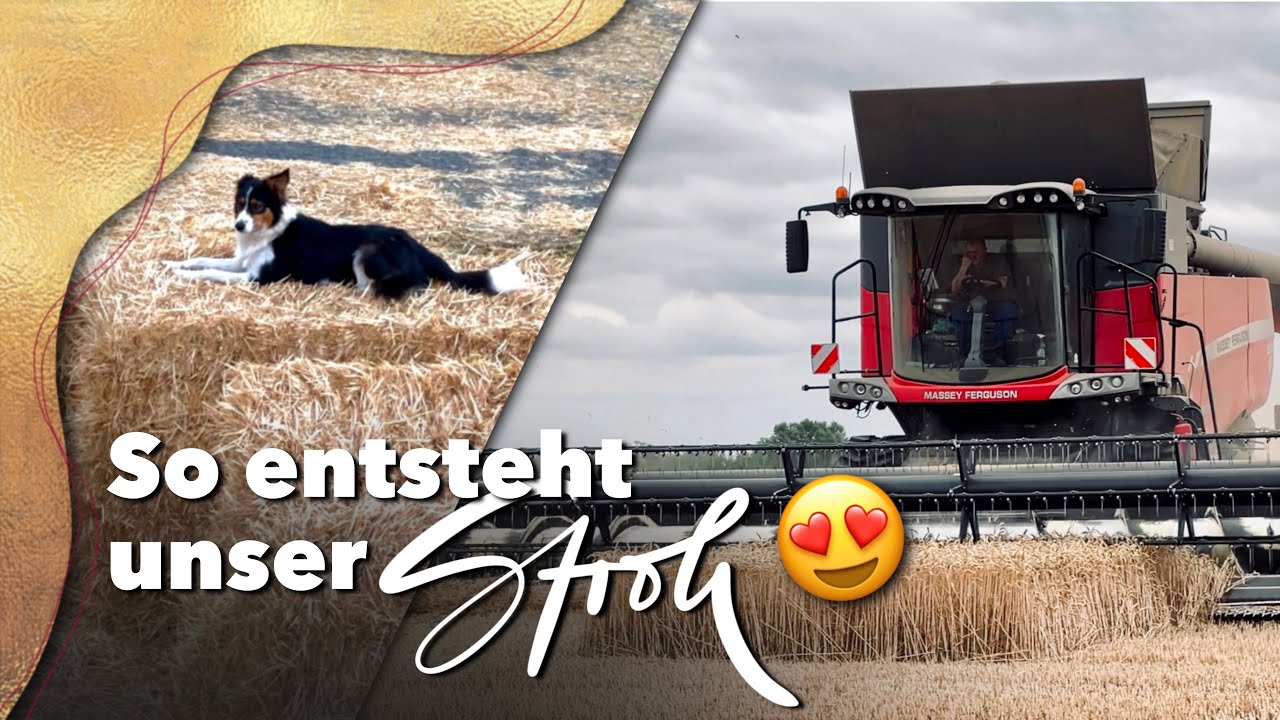 Anne fährt im Trecker mit | Strohernte für den Hof