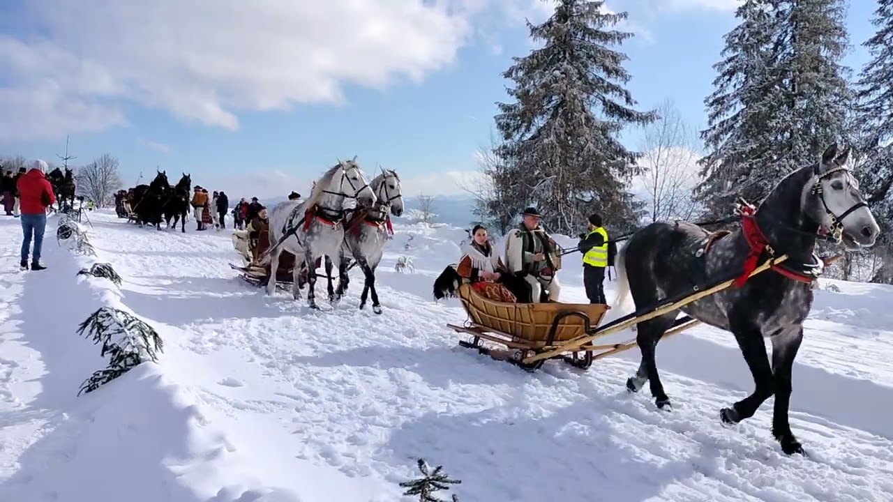 Parada gazdowska - parada kumoterek - 51. Góralski Karnawał 2023