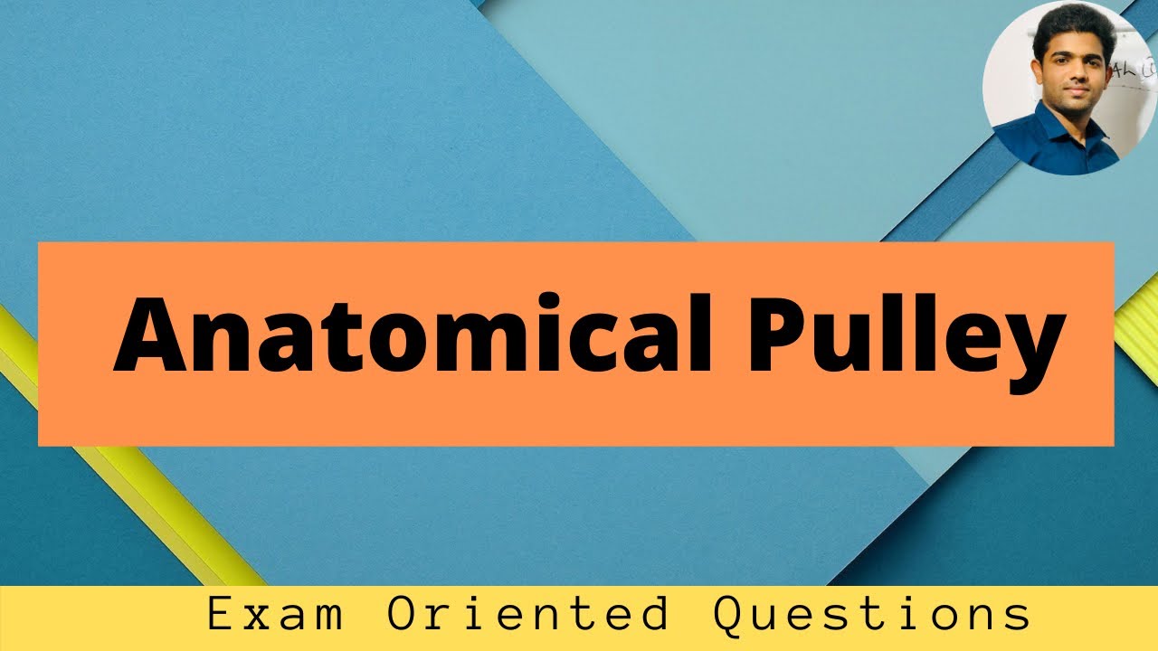 ANATOMICAL PULLEYS SIMPLIFIED| BASIC BIOMECHANICS