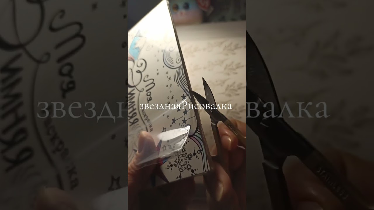 20 февраля 2026 г.