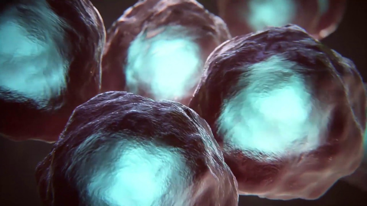Targeting Tumour Drivers and Resistance