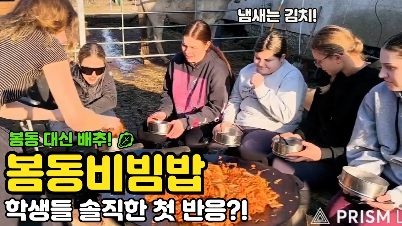 봄동비빔밥 체코 시골에?? 체코 학생들의 첫 솔직한 반응?!