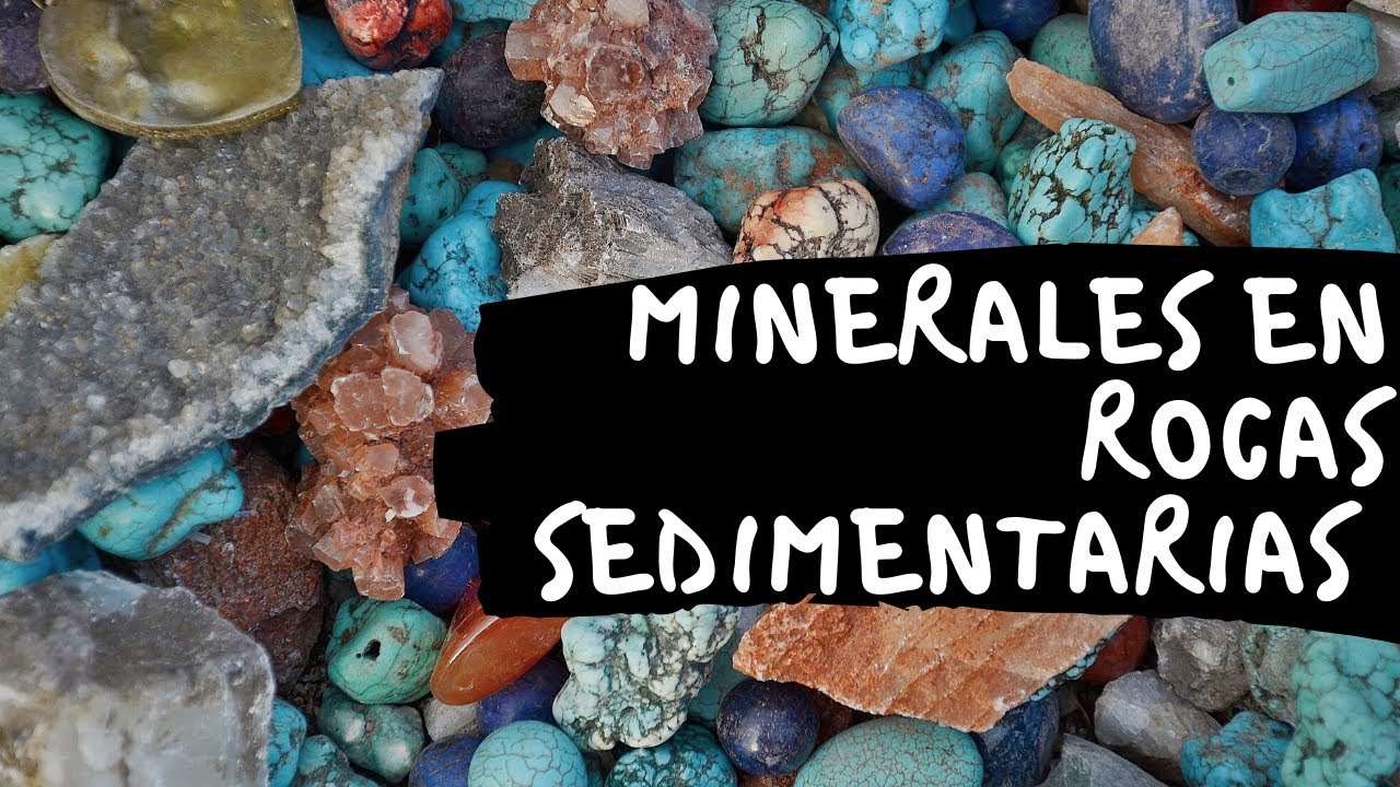 🌎 MINERALES en ROCAS SEDIMENTARIAS 😃⚒⛏ [Componentes de las Rocas Sedimentarias] 🗺🧭