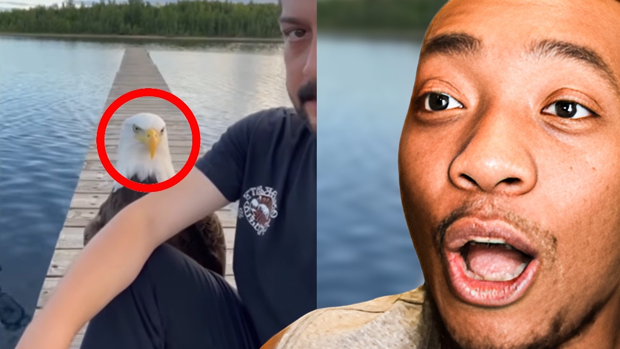 If You Laugh At 1:27, You Have To SUBSCRIBE