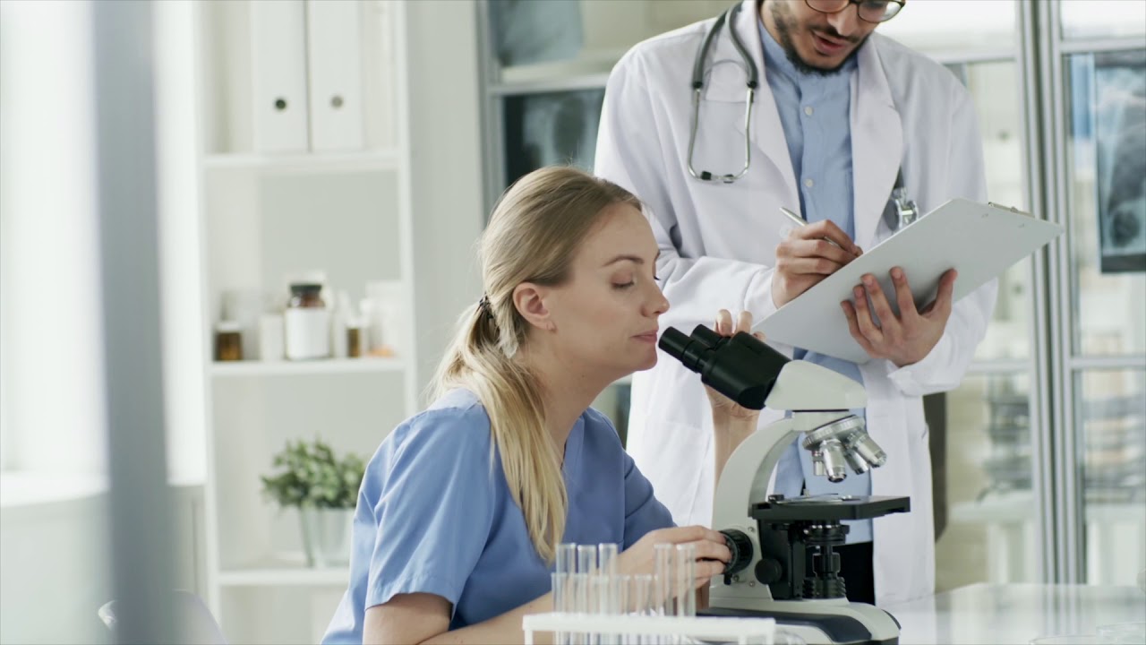 Finding Cannabis Experts | Why You Need to Work With a Medical Marijuana Expert