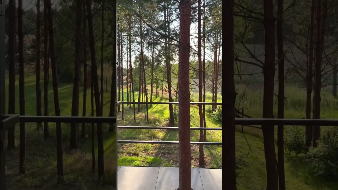 ☀️View from the Emerald House at the Paradise in Kashubia | Dom Szmaragd