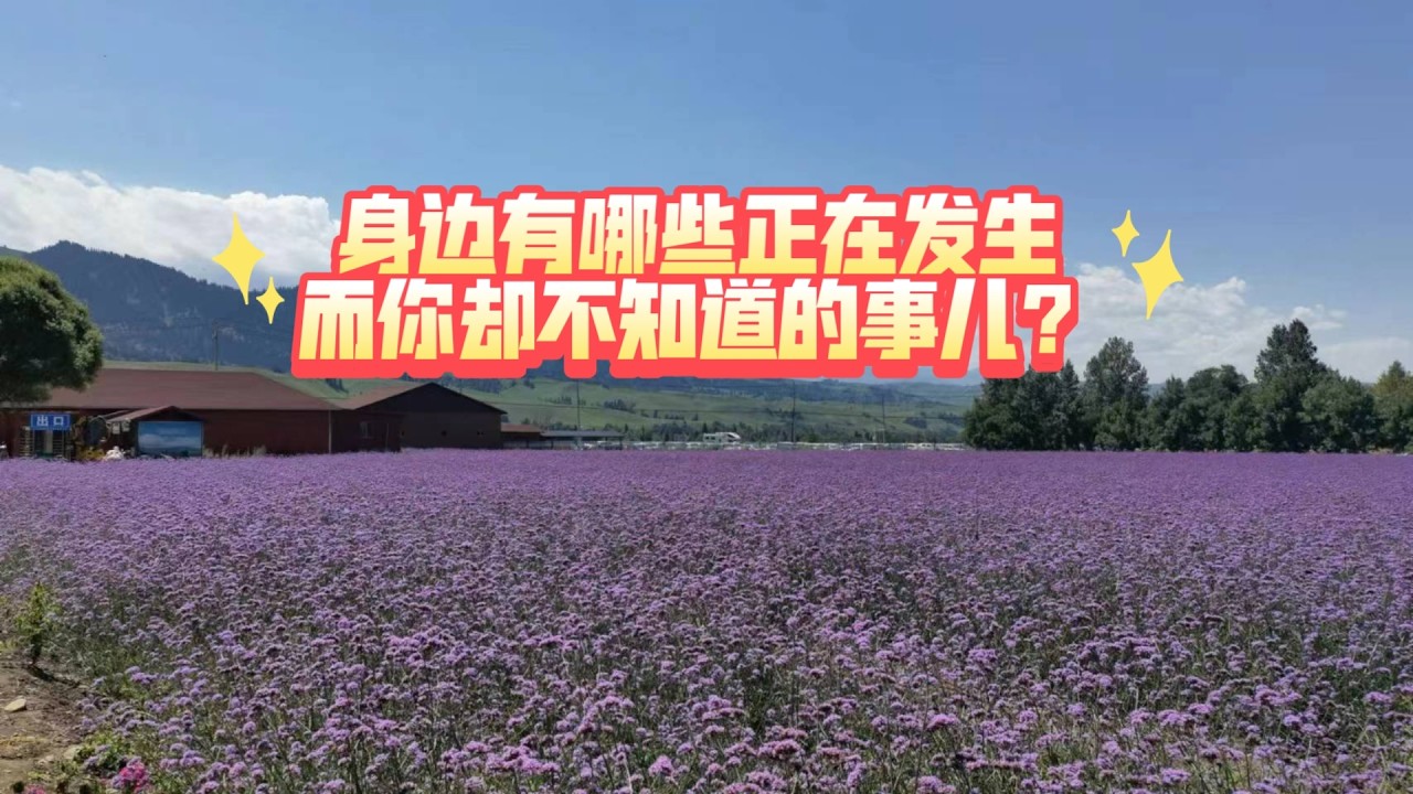 身边正在发生哪些你不知道的事儿？(不限时空)