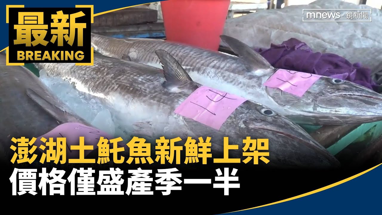 「白金」回來了！澎湖土魠魚新鮮上架　價格僅盛產季一半｜#鏡新聞