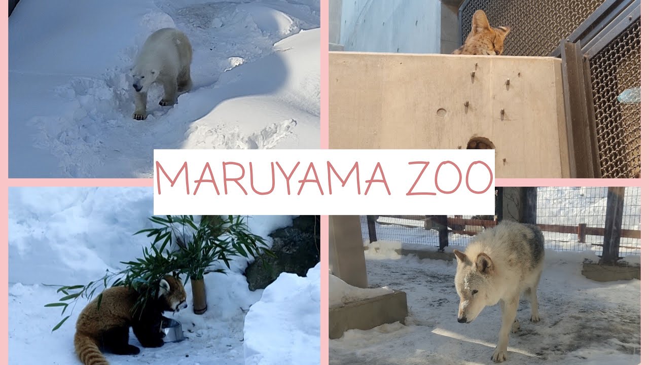 円山動物園