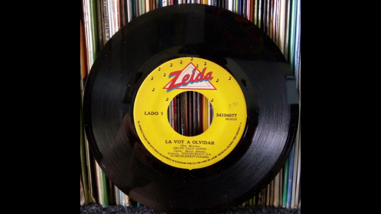 La voy a olvidar - Palo Santo