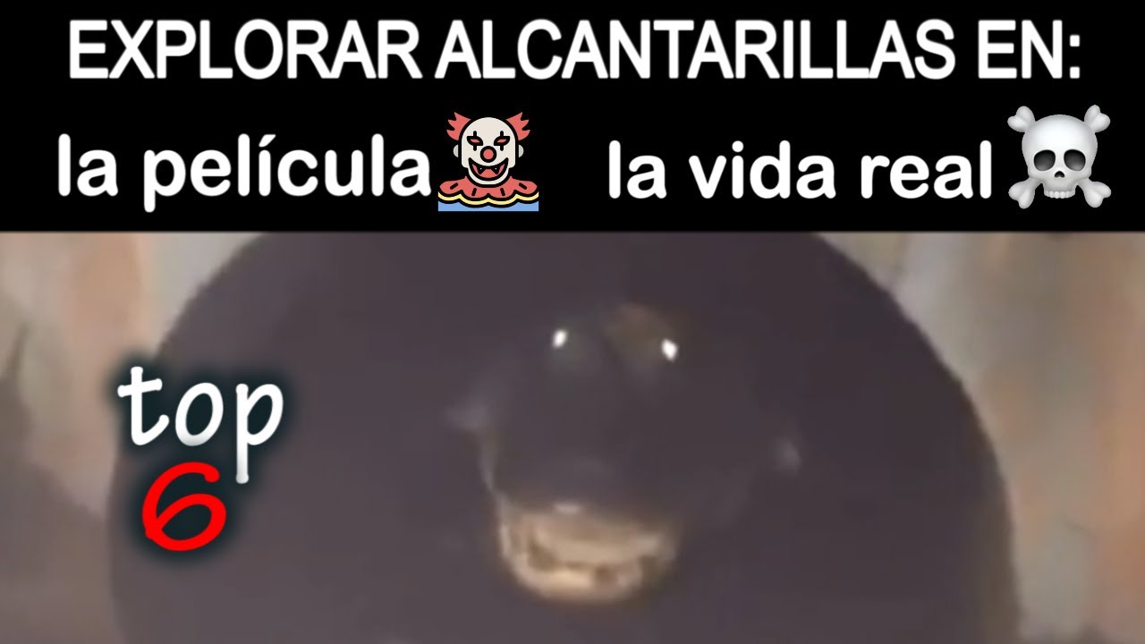 exploración en alcantarillas