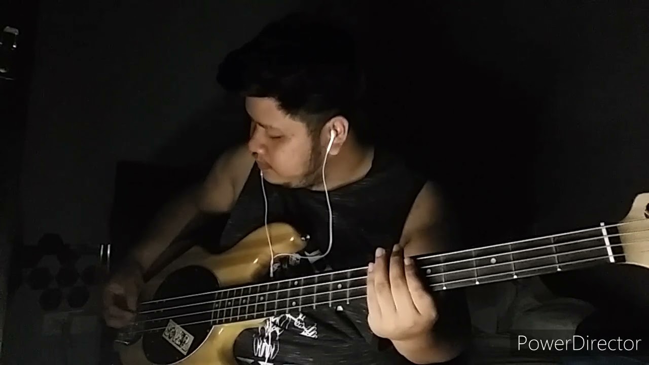 Pierce The Veil - King For A Day (BASS COVER)