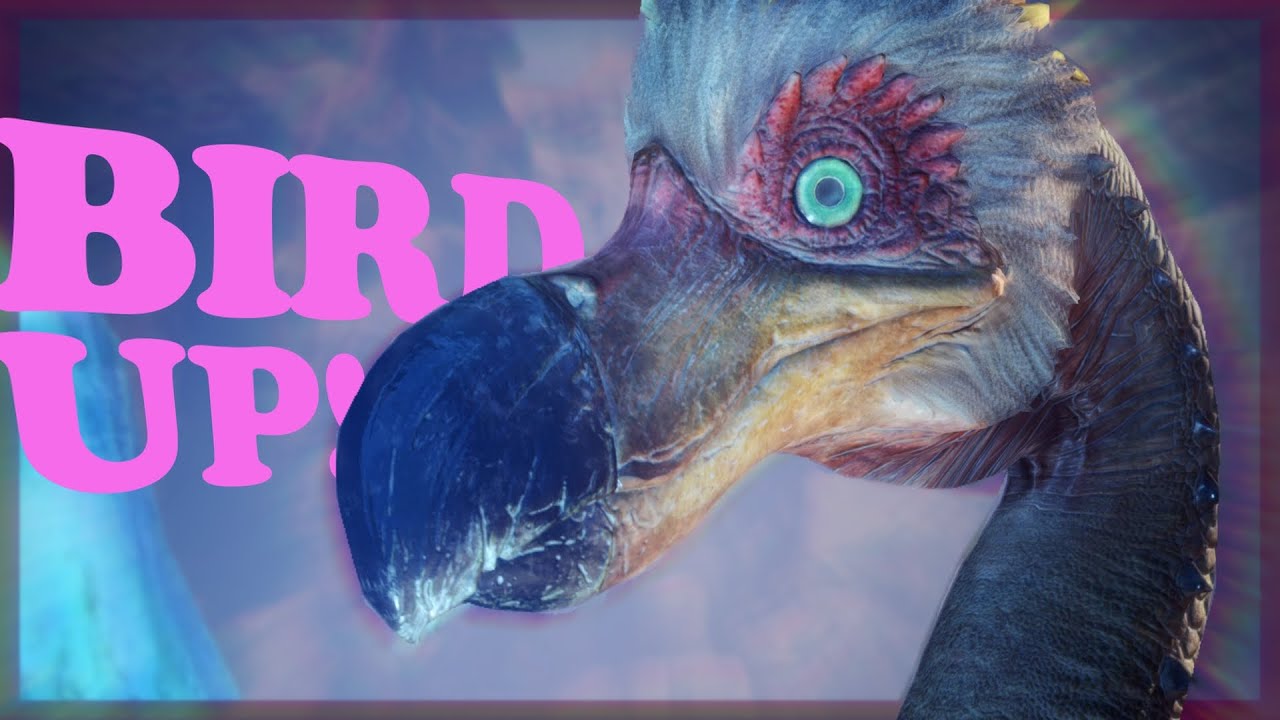 BIRD UP!