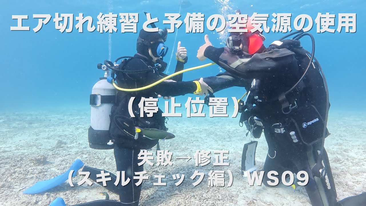 【記録映像｜スキルチェック編（WS09)】エア切れ練習と予備の空気源の使用（停止位置編）｜失敗→修正を繰り返す｜ダイバーの成長記録｜沖縄県・恩納村｜BlueLeaf