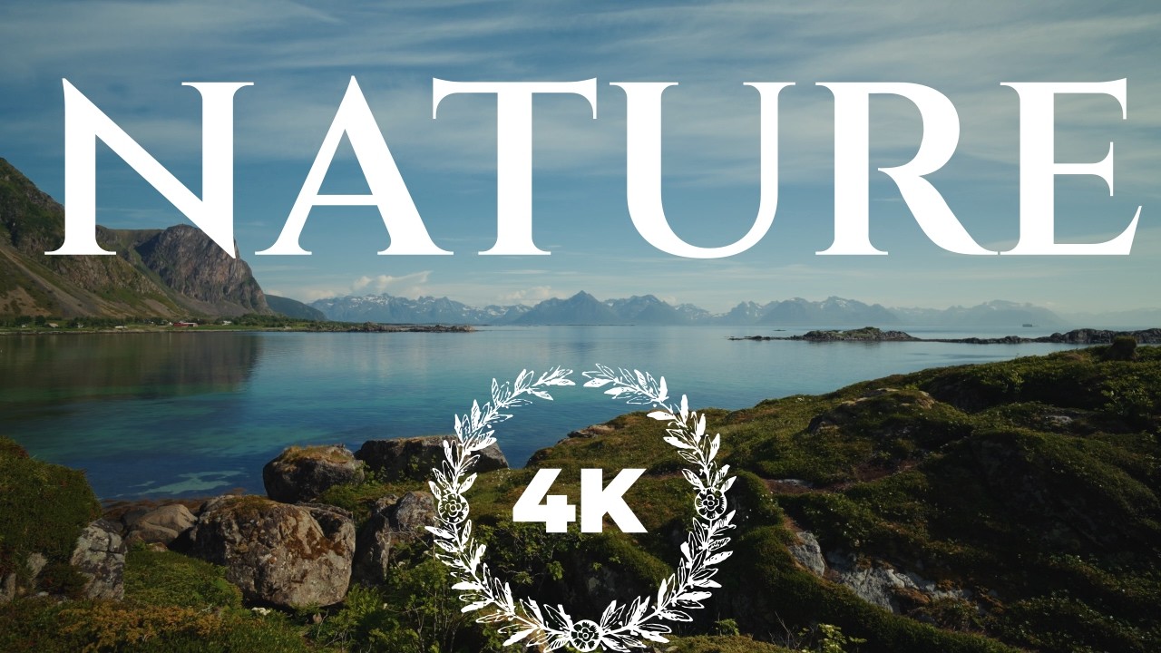 Nature - Relaxing - 4K | UHD