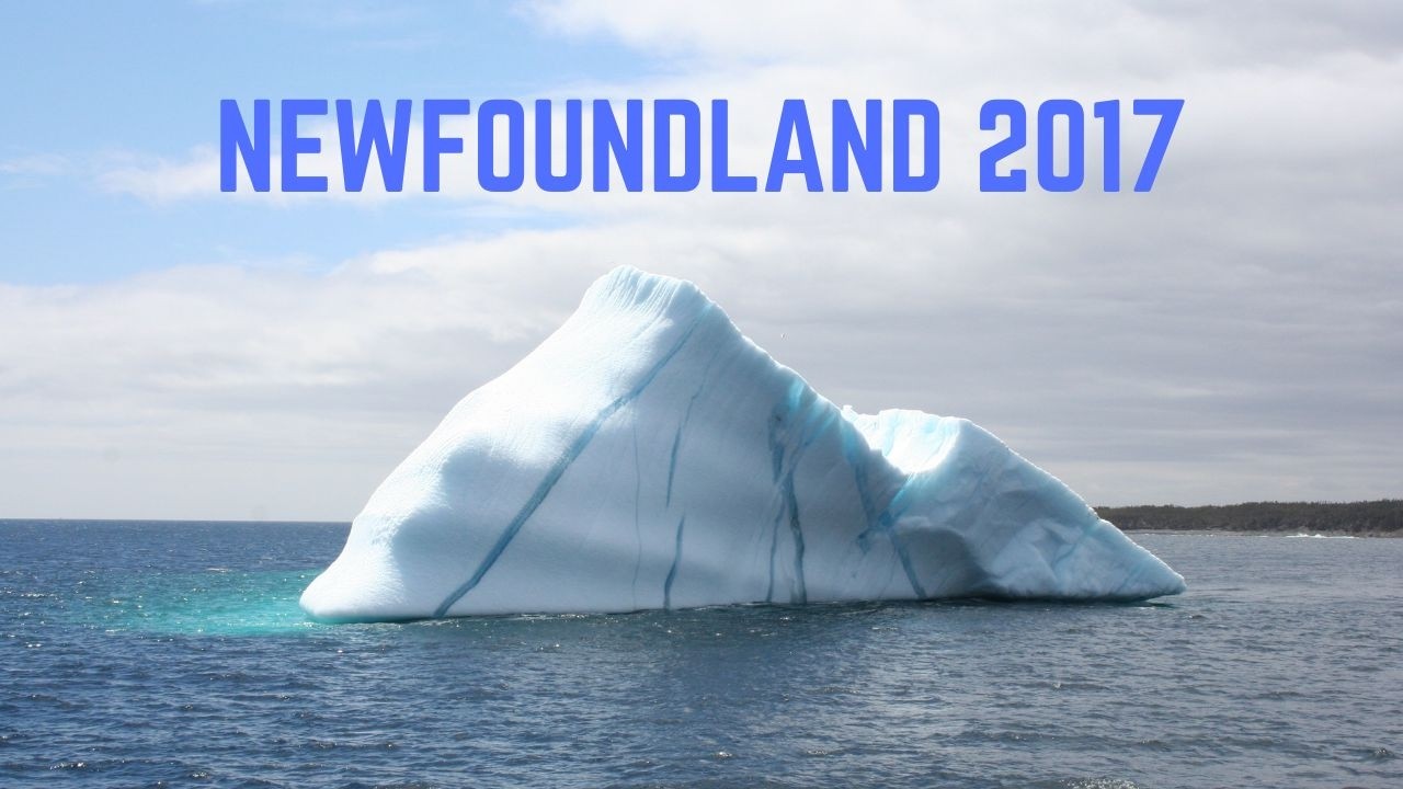 Newfoundland - Trinity Bay - Bonavista - Bay Bulls