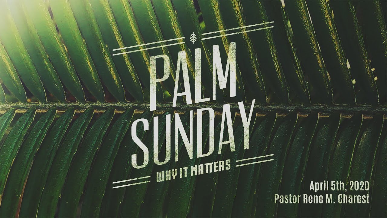 Palm Sunday - Why It Matters