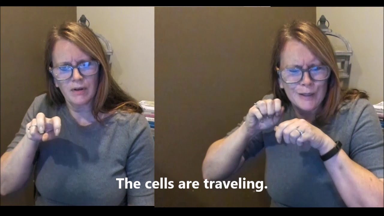 ASL Medical Interpreting: An Appointment