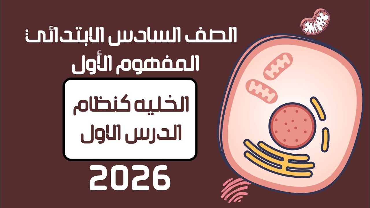 الخليه كنظام | الدرس الأول | علوم الصف السادس الابتدائي ترم أول 2026 | علومك بسهولة