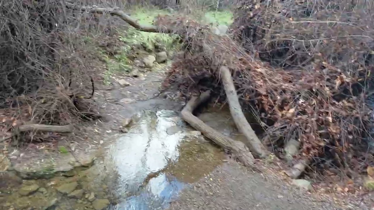 Un aventura más, caminando por los arrollos 