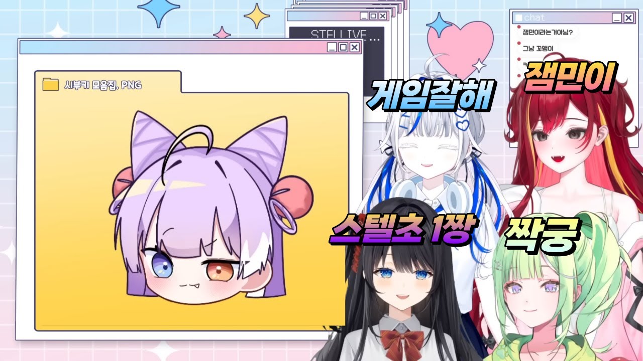 스텔 멤버들의 생각하는 부키 인상