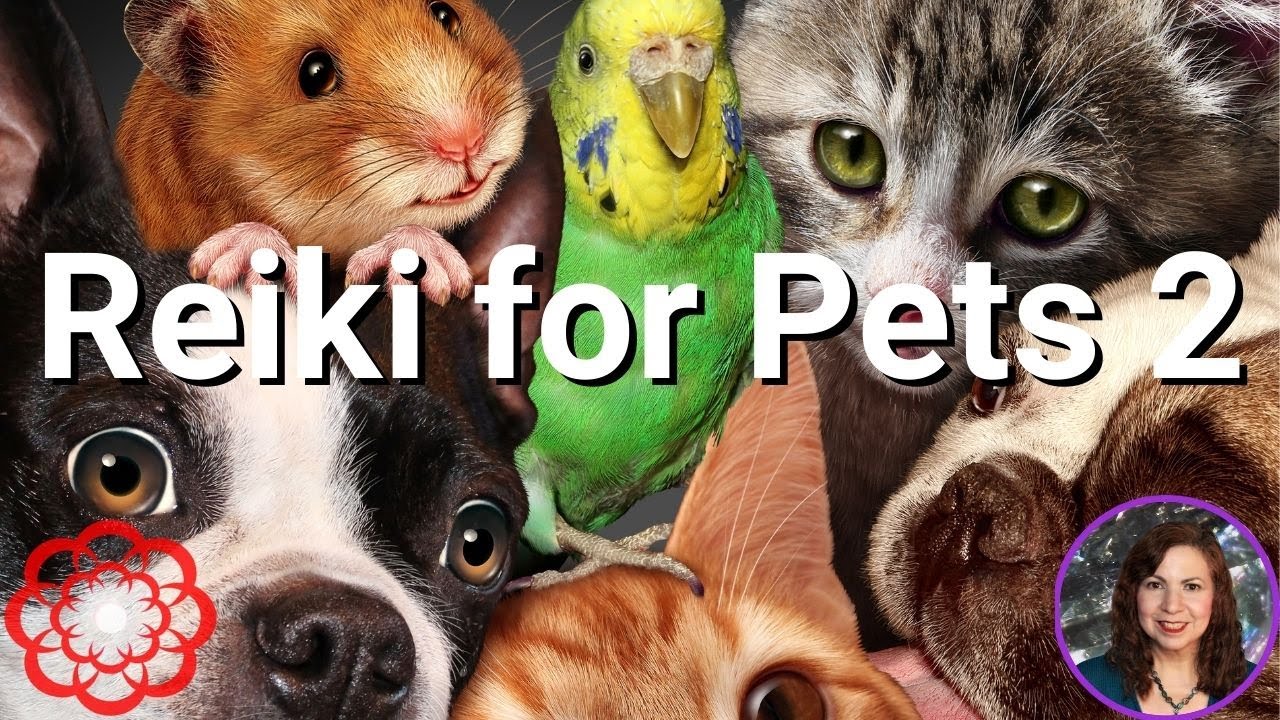 Energy for Pets 💮