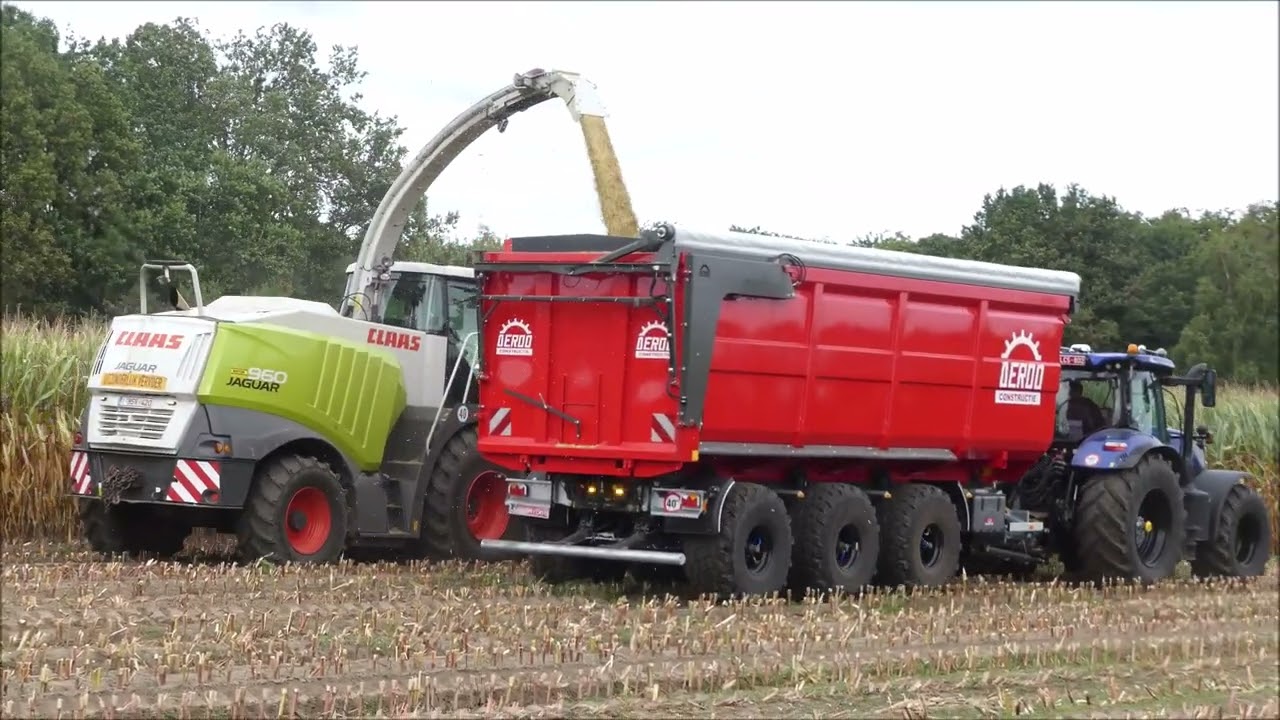 Ooms mais hakselen 2023 (1) , Claas Jaguar 960