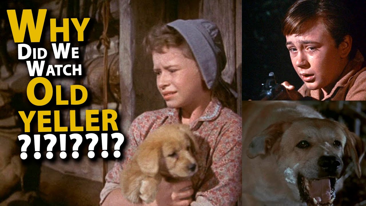 Why Did We Watch OLD YELLER?!?!?
