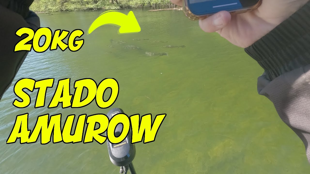 Amury 20kg+, Liny 45+ TO COŚ NIESAMOWITEGO