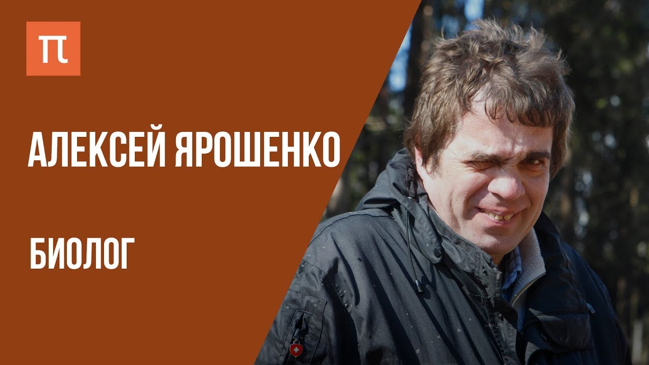Что я знаю &mdash; ЭКОЛОГИЯ ЛЕСОВ // Биолог Алексей Ярошенко на ПостНауке