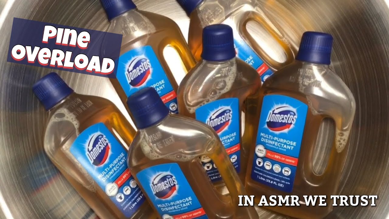 Asmr 🌲 Domestos Pine (6 Bottles) on Clamshell Grout Sponges + Paste Bucket Dip | Dettol Comparison